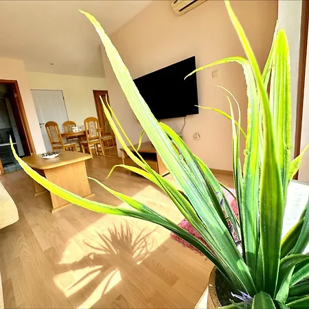 Golden - Menada Apartment