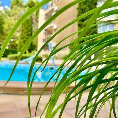 Golden - Menada Apartment *